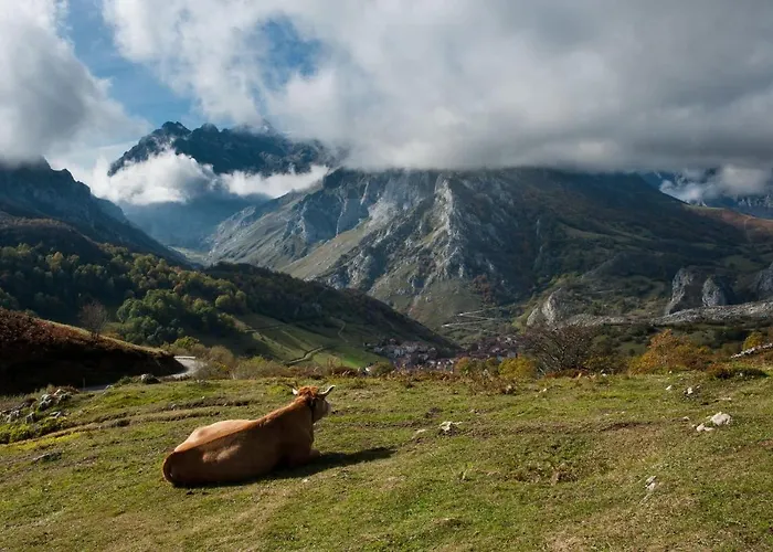 Apartamento Navalin *